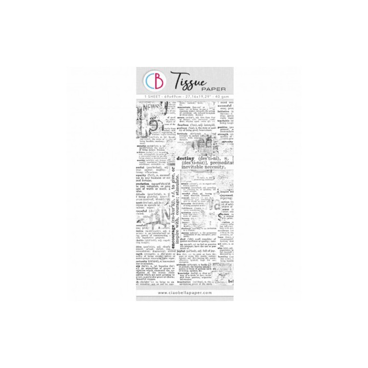 copy of 